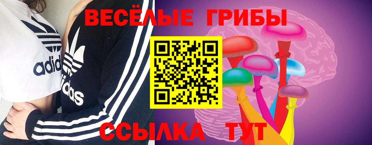 Кохма  Галлюциногенные грибы MAGIC MUSHROOMS  Вход с VPN 